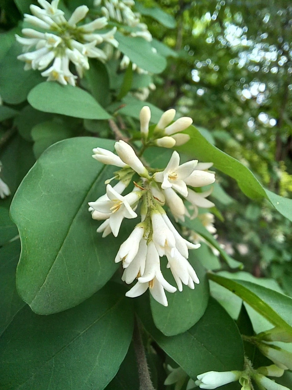 20230518_095343.jpg?type=w1