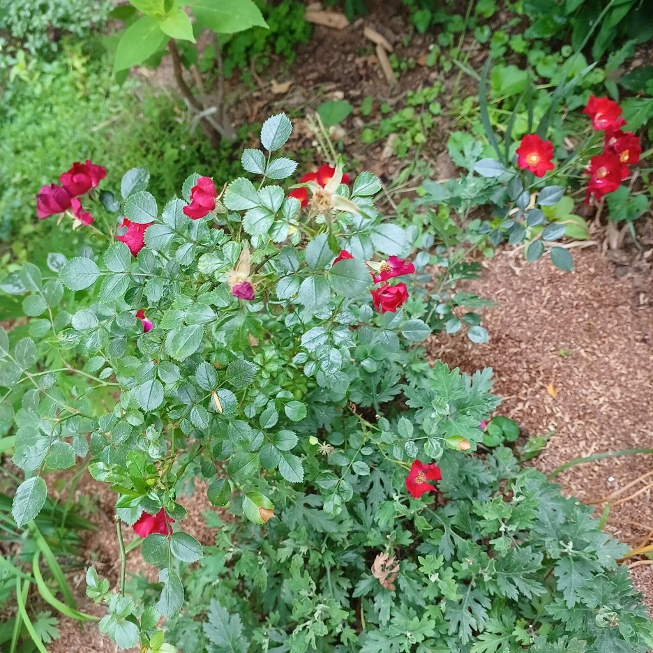 20220530_110319.jpg?type=w1