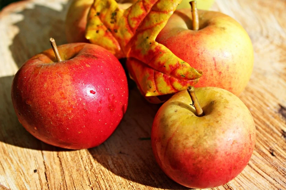 apples-496977_1920.jpg?type=w1