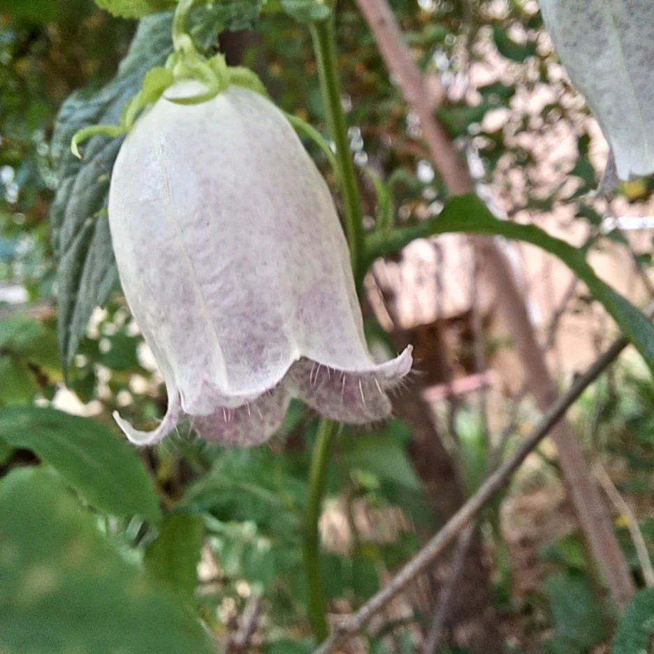 20220529_083251.jpg?type=w1