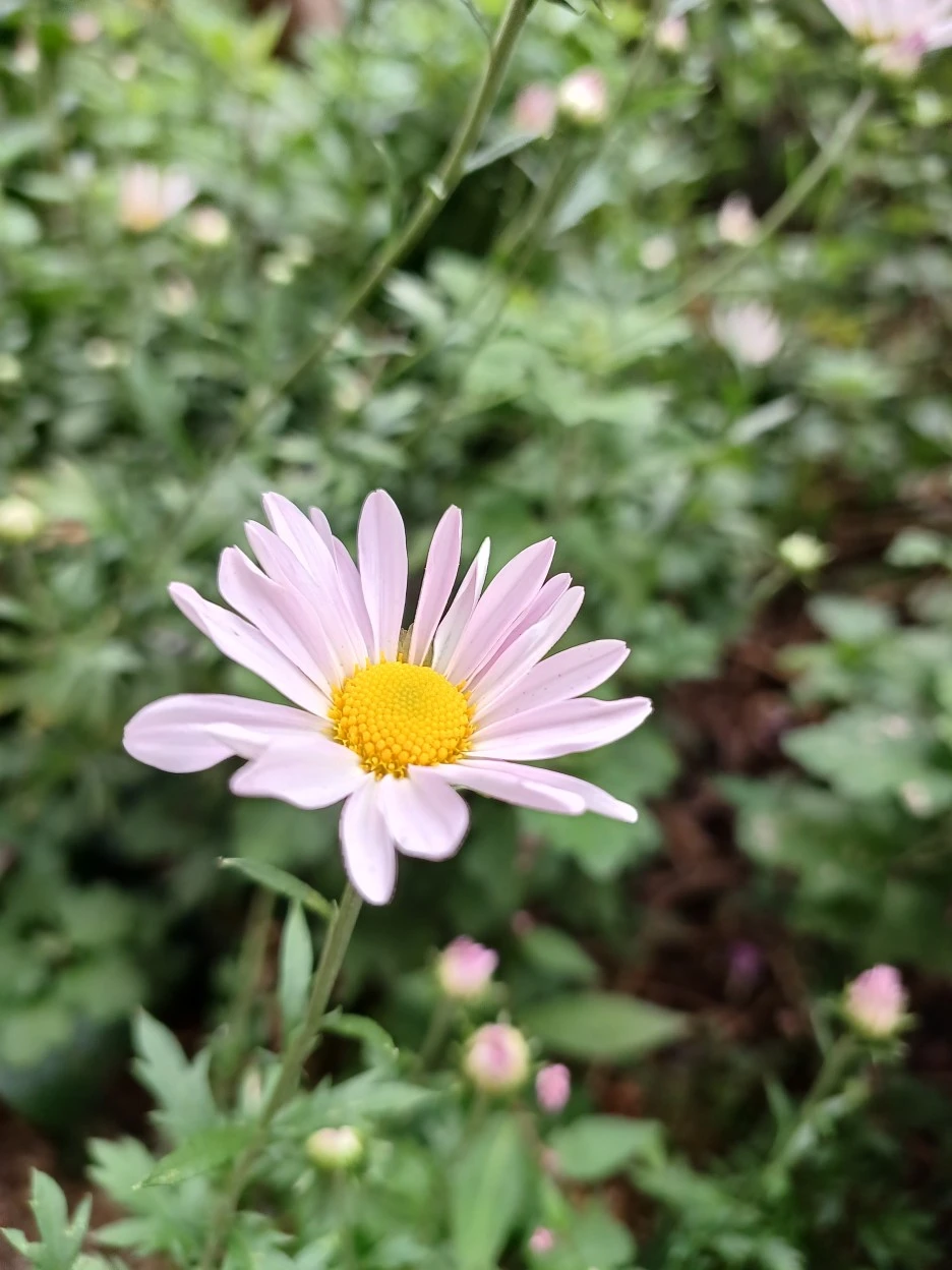 20220925_074744.jpg?type=w1