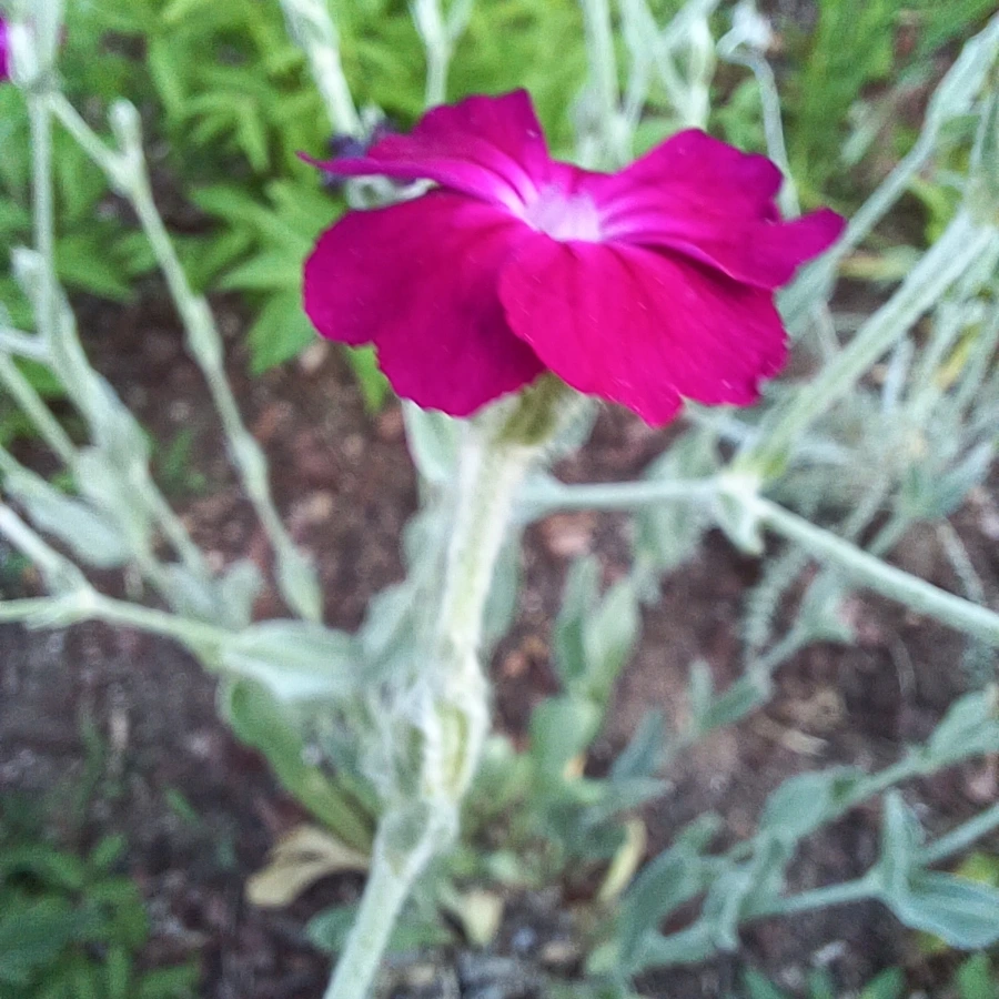 20220527%EF%BC%BF183635.jpg?type=w1