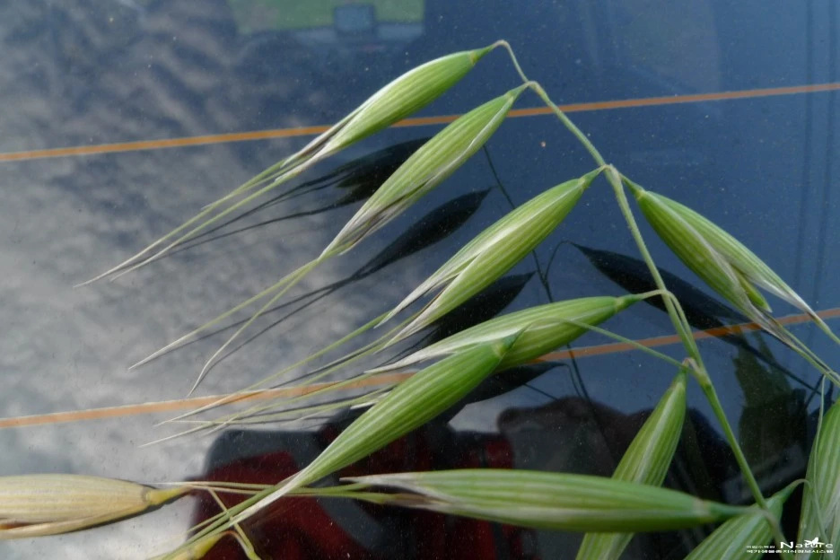 ib58_1535_i5.jpg?type=w1