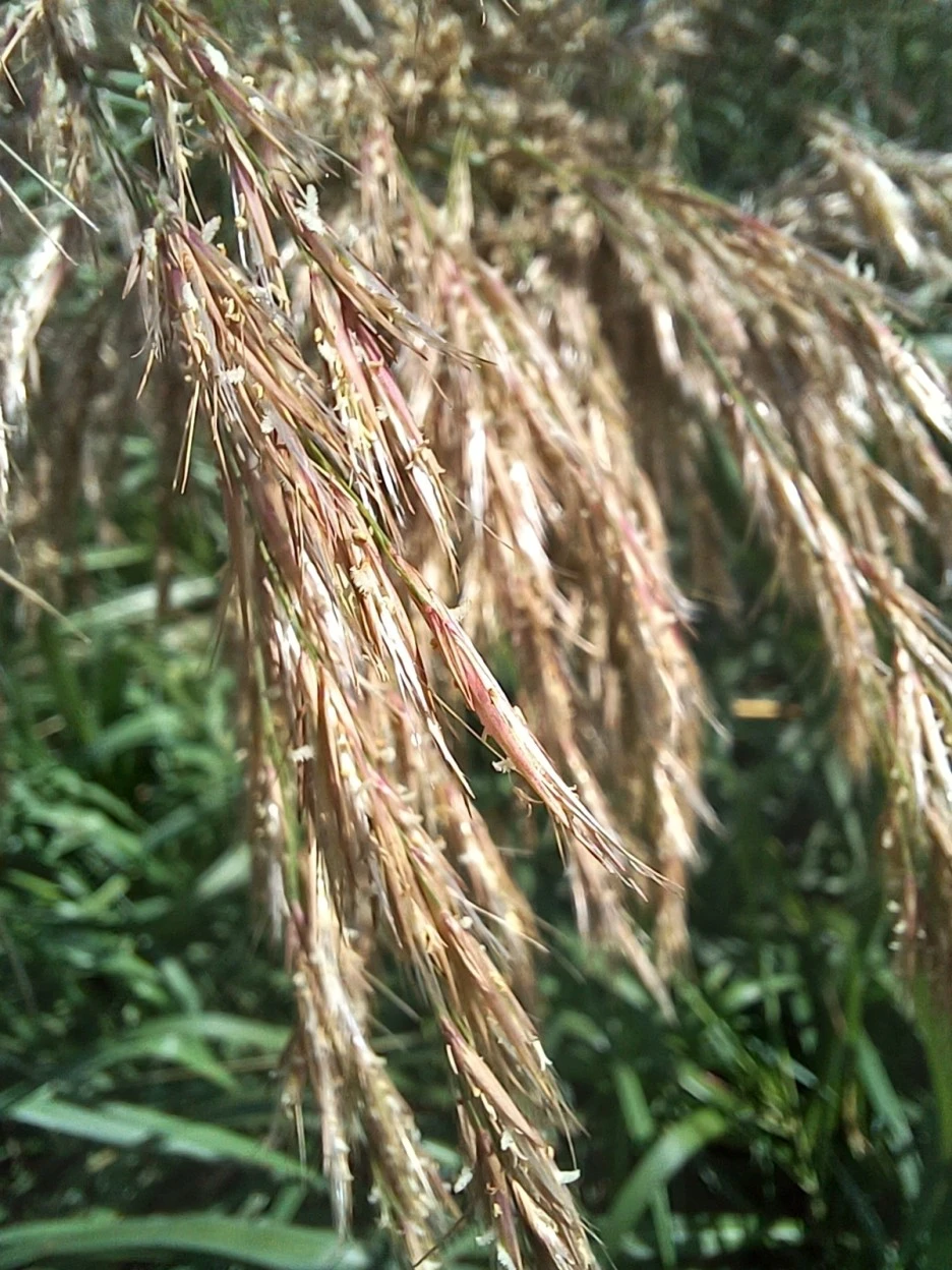 20220924_143503.jpg?typew1