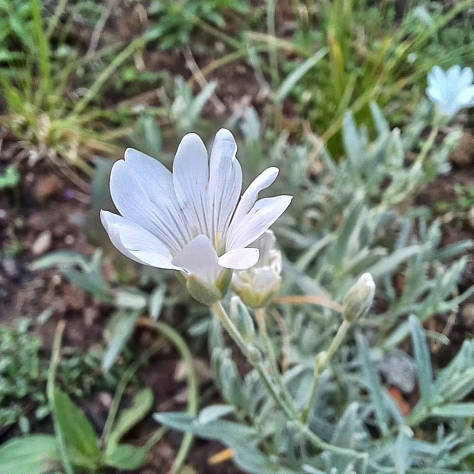 20220520_185520.jpg?type=w1