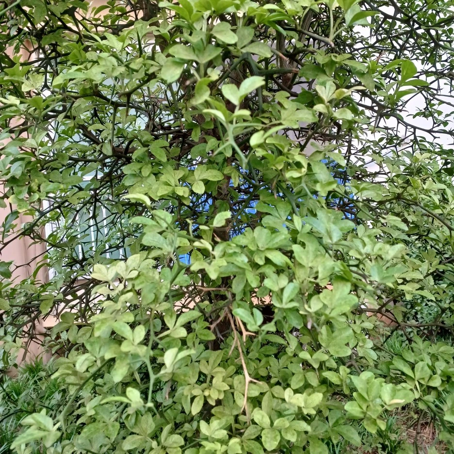 20220601_191433.jpg?type=w1