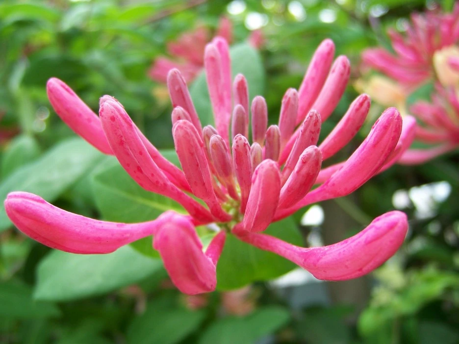 %EC%9D%B8%EB%8F%99%EC%B4%883.jpg?type=w1