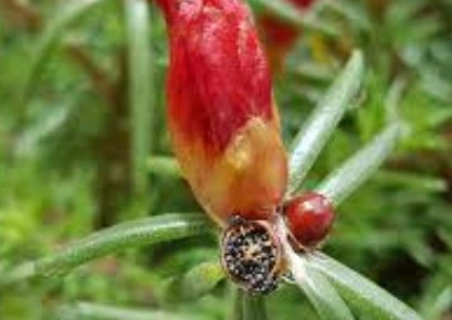 %EC%9B%B9_%EC%BA%A1%EC%B2%98_15-10-2022_145250_www.google.co.kr.jpeg?type=w1