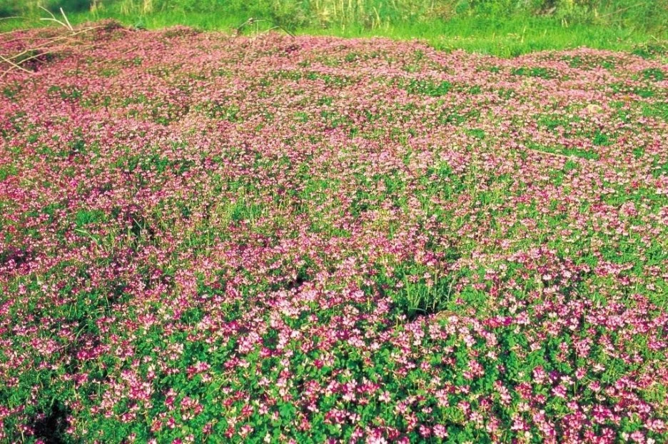 79193%EC%9E%90%EC%9A%B4%EC%98%81.jpg?type=w1