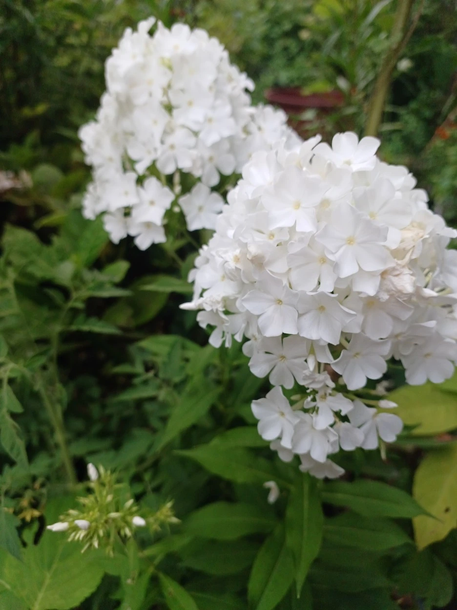 20220722_193612.jpg?type=w1