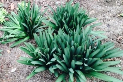 SE-70d59f7c-fe35-4b2b-b181-6be2e980bb05.jpg?type=w1