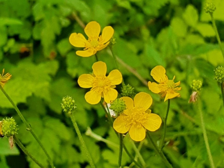 20220530%EF%BC%BF131622.jpg?type=w1