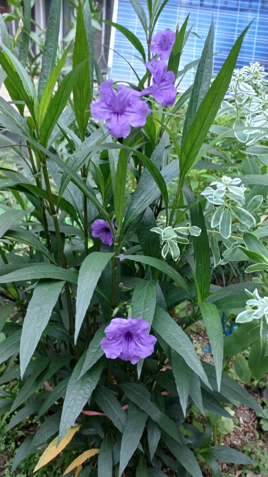 20220818%EF%BC%BF063051.jpg?type=w1