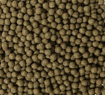 SE-f7129a38-5743-43e5-8405-70ae3b46909e.jpg?typew1