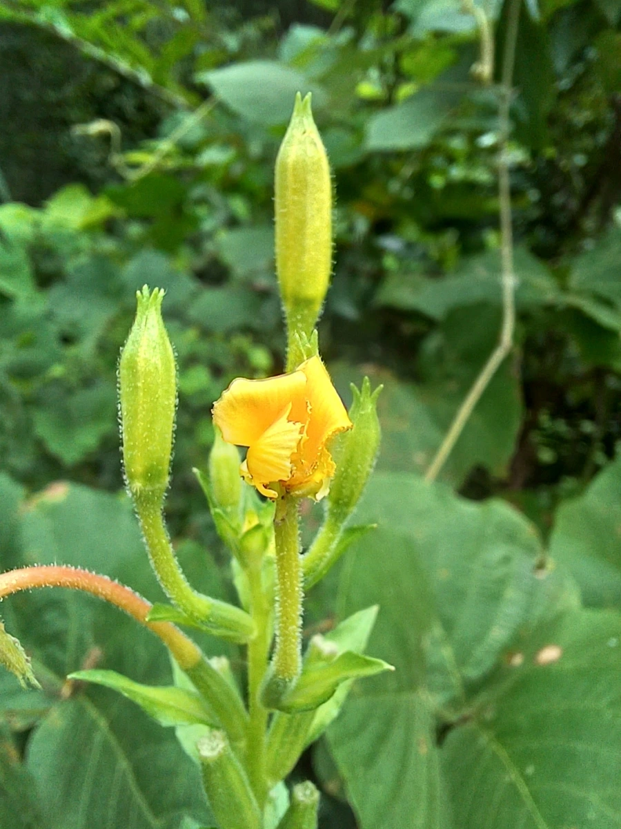 20220903%EF%BC%BF113846.jpg?type=w1