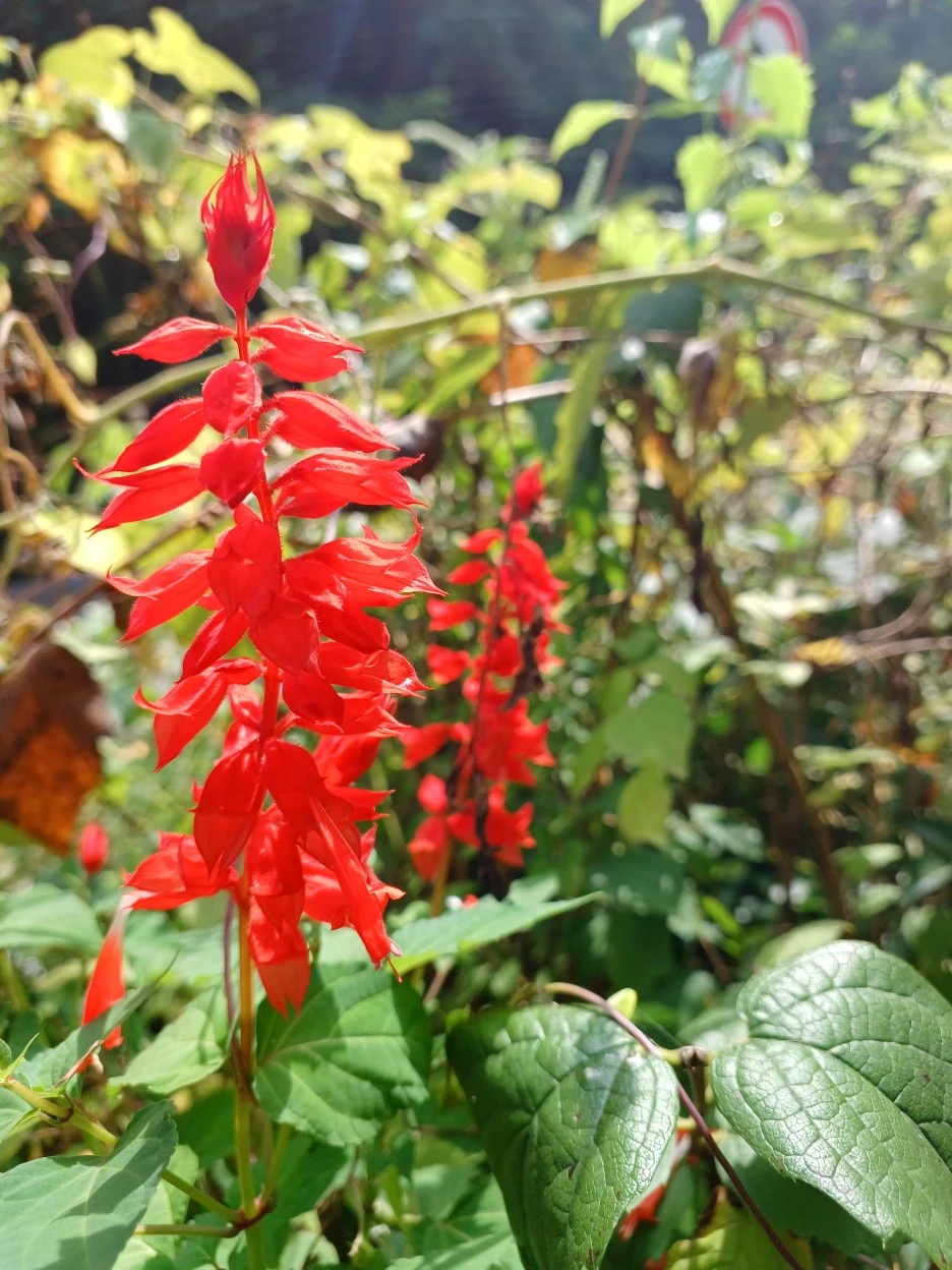 20220917_130909.jpg?typew1