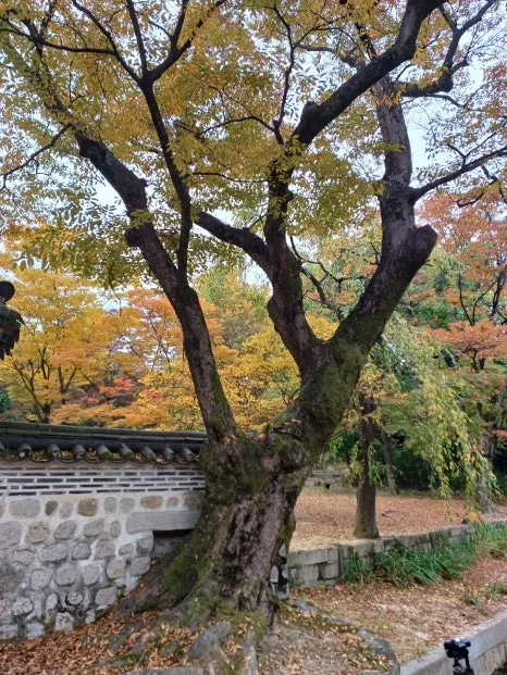 20241027_131402.jpg?type=w466