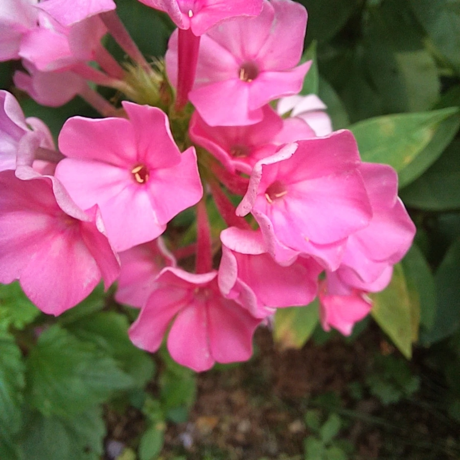 20220705%EF%BC%BF123308.jpg?type=w1