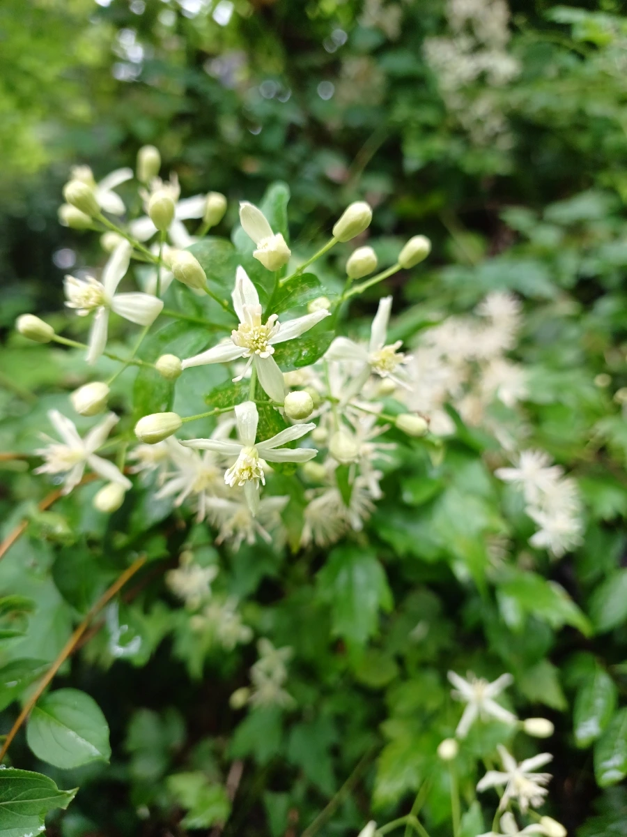 20220829%EF%BC%BF142055.jpg?type=w1