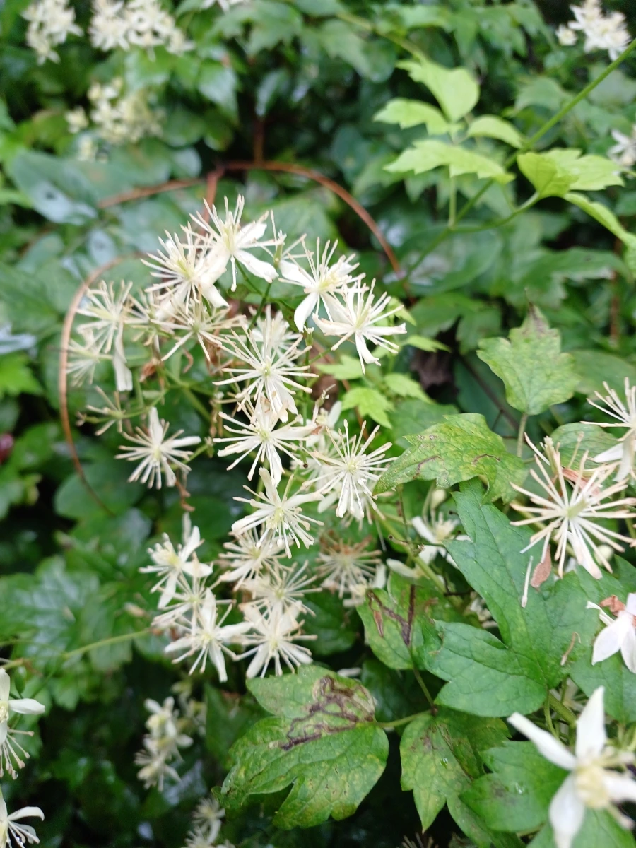 20220829%EF%BC%BF142100.jpg?type=w1