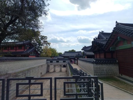 20241009_124122.jpg?type=w466