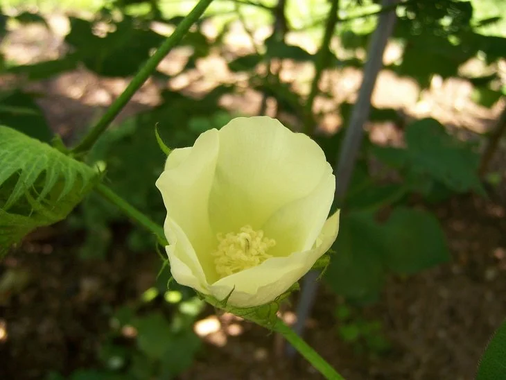 result_2006_8_6_11_59_30_828_36-lysook7.jpg?typew1