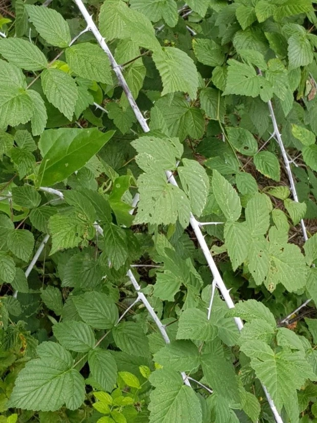 %EB%8B%A4%EC%9A%B4%EB%A1%9C%EB%93%9C_(2).jpg?type=w1