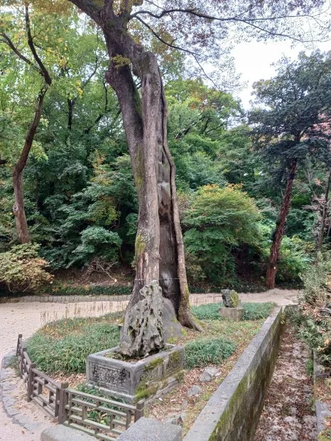 20241027_131615.jpg?type=w466