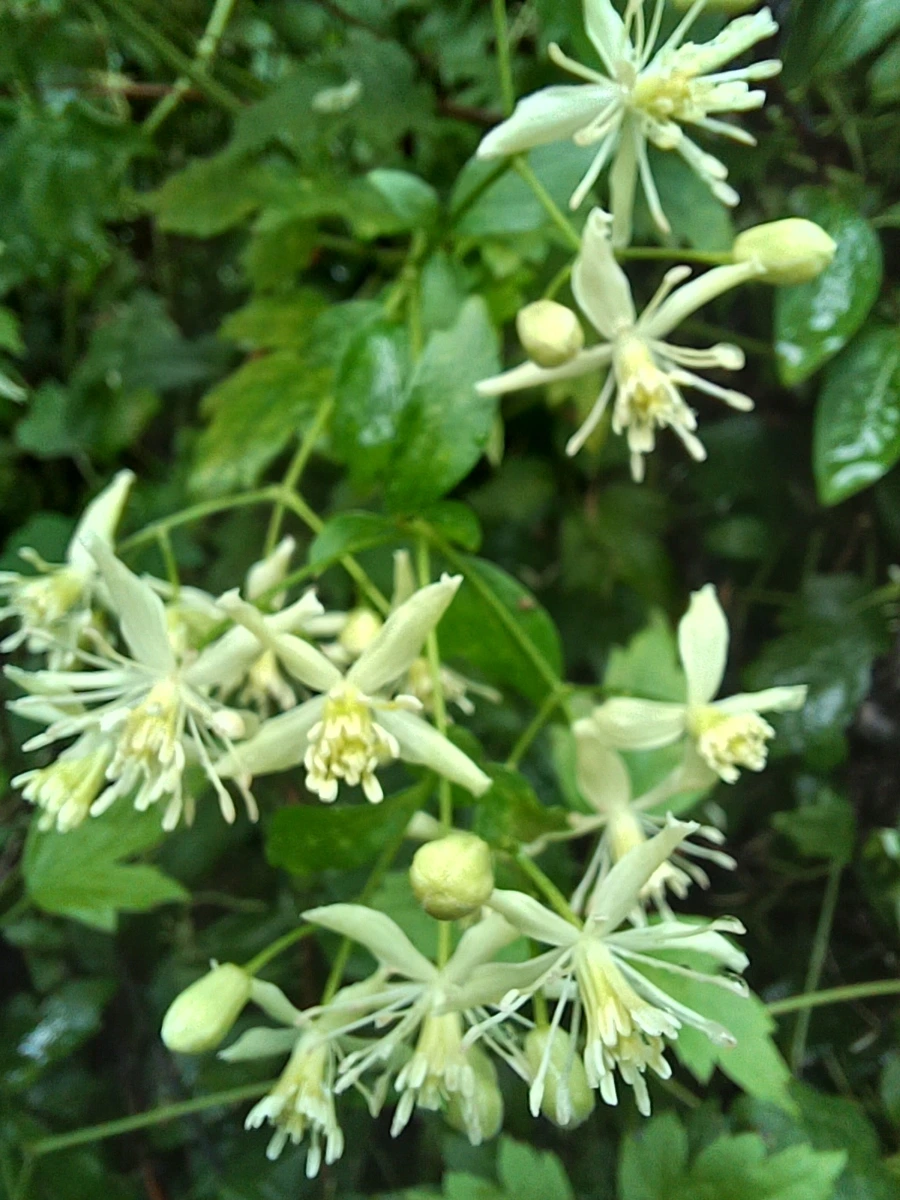 20220829%EF%BC%BF142144.jpg?type=w1