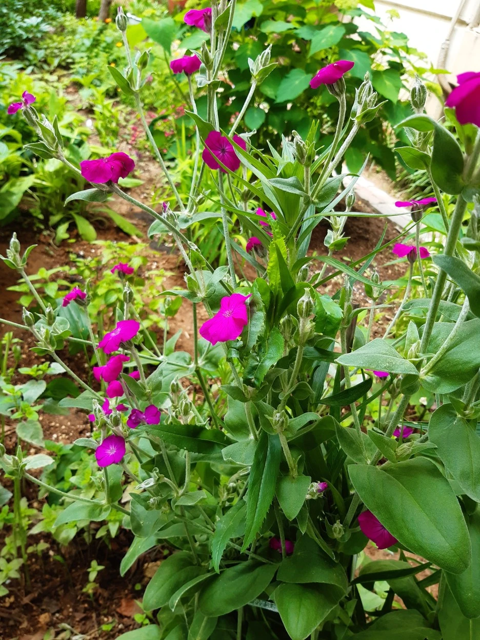 20210523_113152.jpg?type=w1