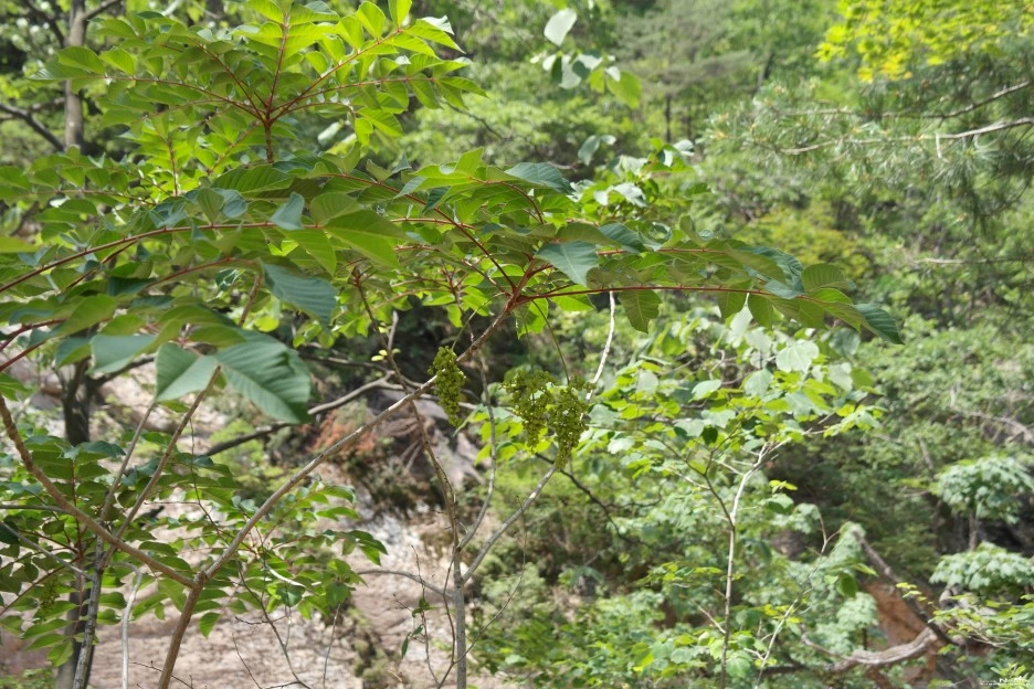 ib58_287_i4_%ED%95%9C%EA%B5%AD%EC%8B%9D%EB%AC%BC%EC%83%9D%ED%83%9C%EB%B3%B4%EA%B0%90_1.jpg?type=w1