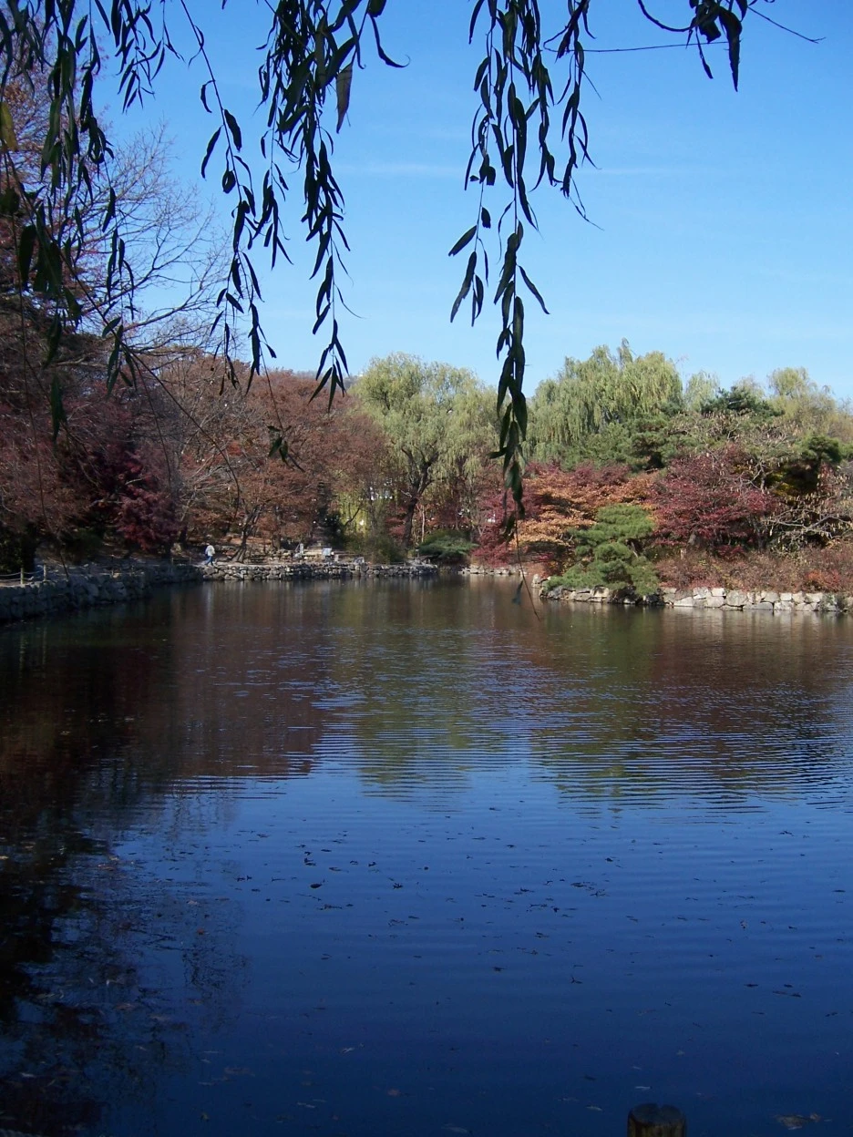 100_0120.jpg?type=w1