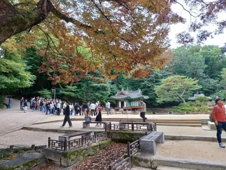 20241027_130710.jpg?type=w466