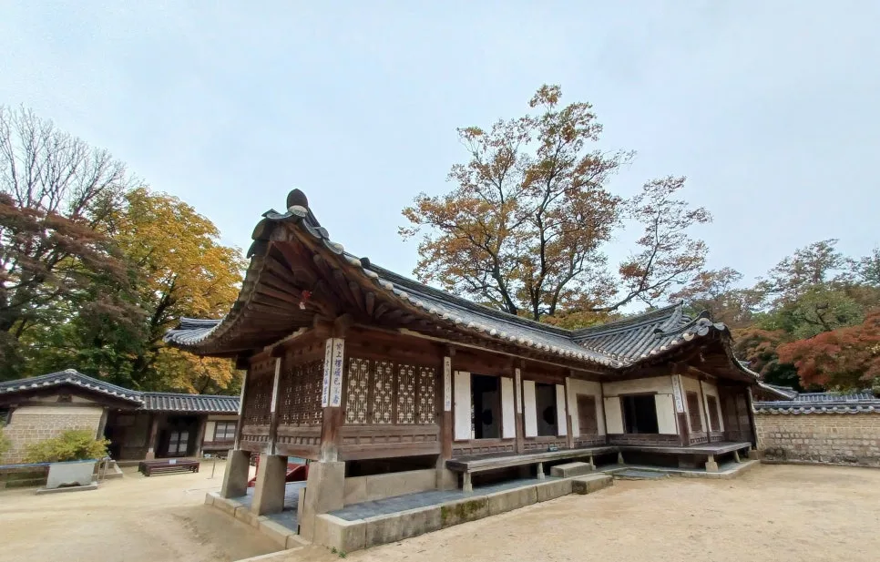 20241027_132039.jpg?type=w966