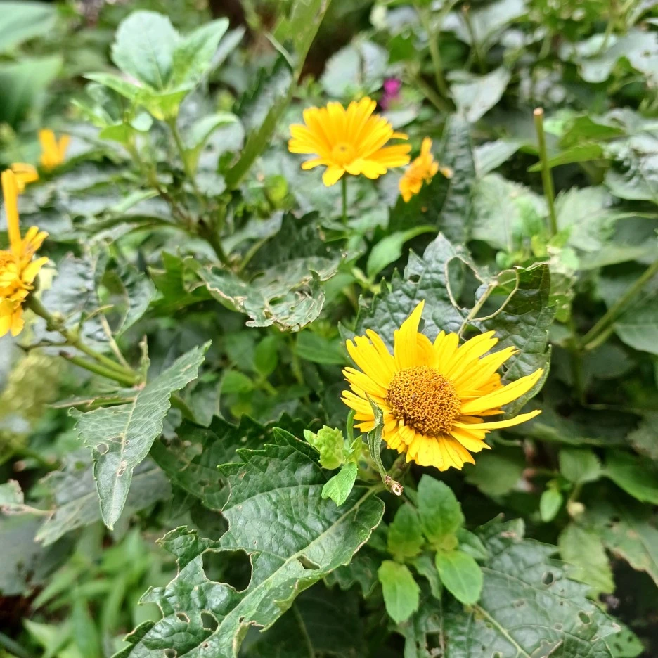 20220705_122937.jpg?type=w1