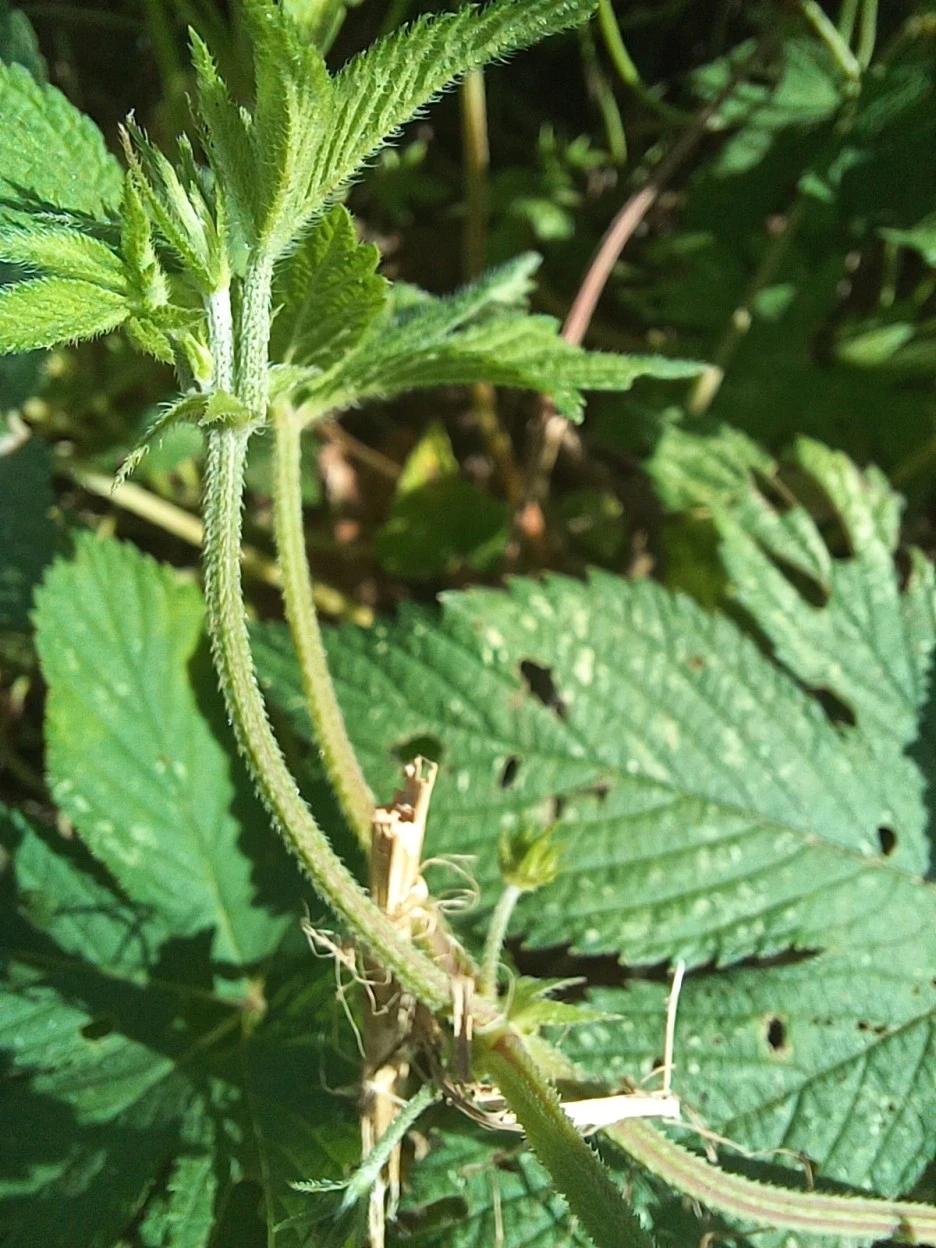 20220924_143745.jpg?type=w1