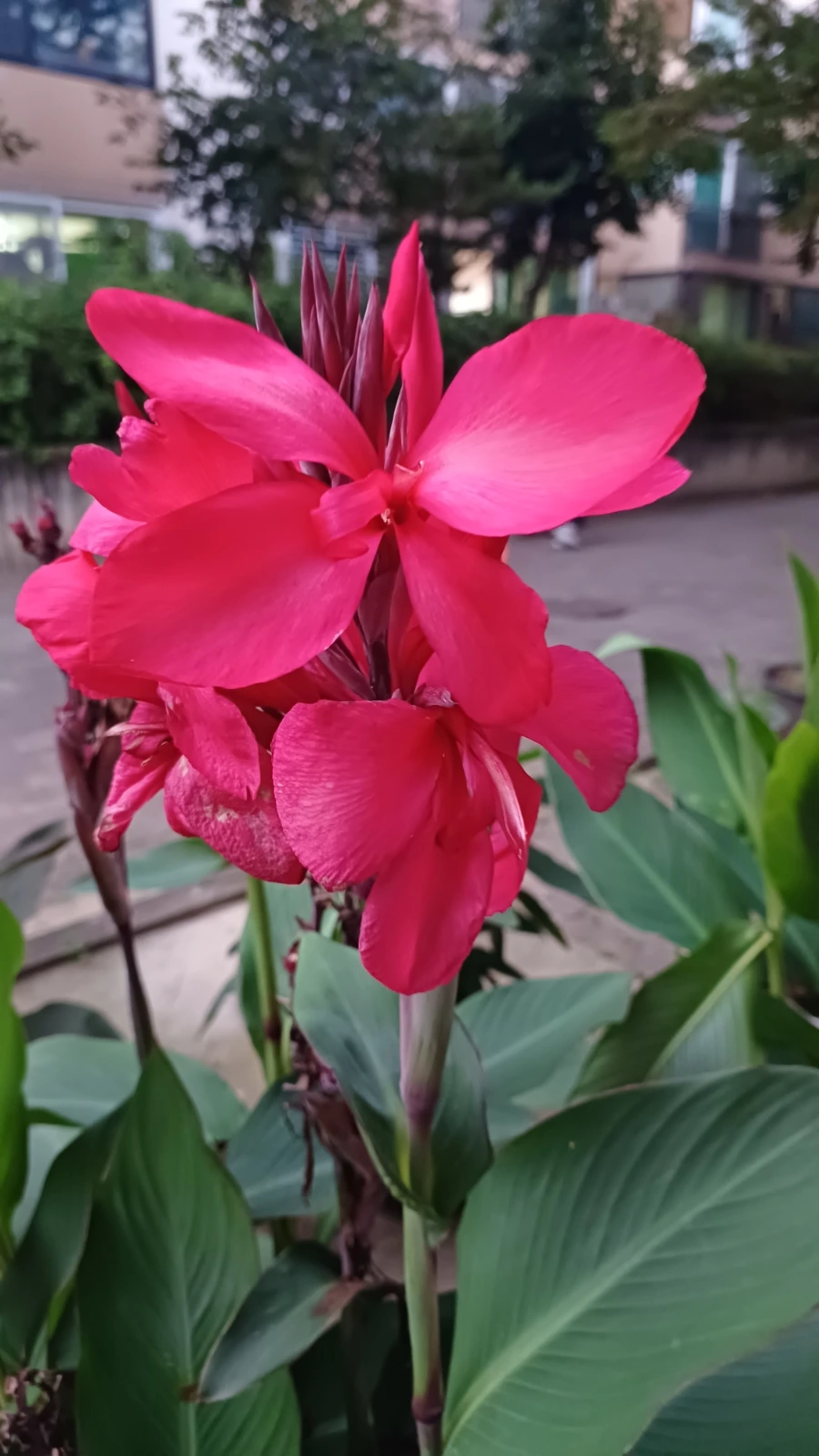 20220817%EF%BC%BF192546.jpg?type=w1