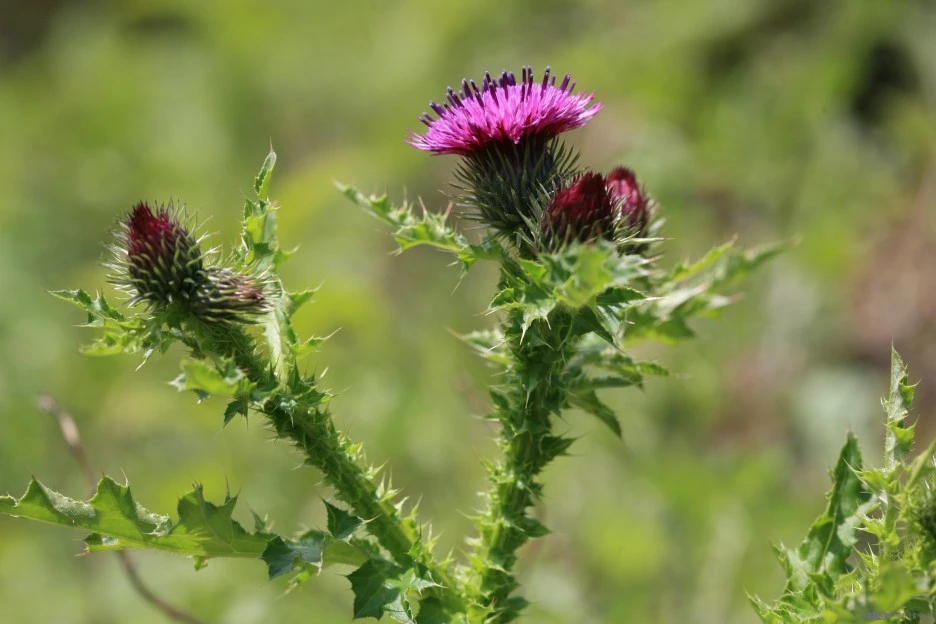 ia40_1169_i3.jpg?type=w1