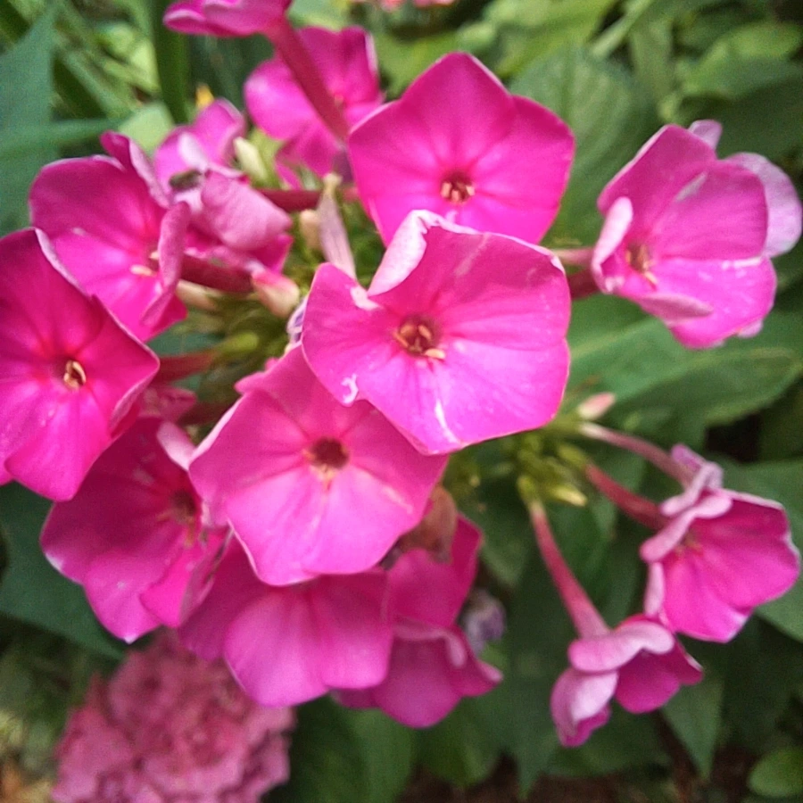 20220705%EF%BC%BF123312.jpg?type=w1