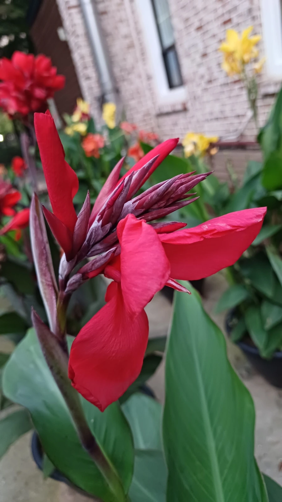 20220817%EF%BC%BF192439.jpg?type=w1