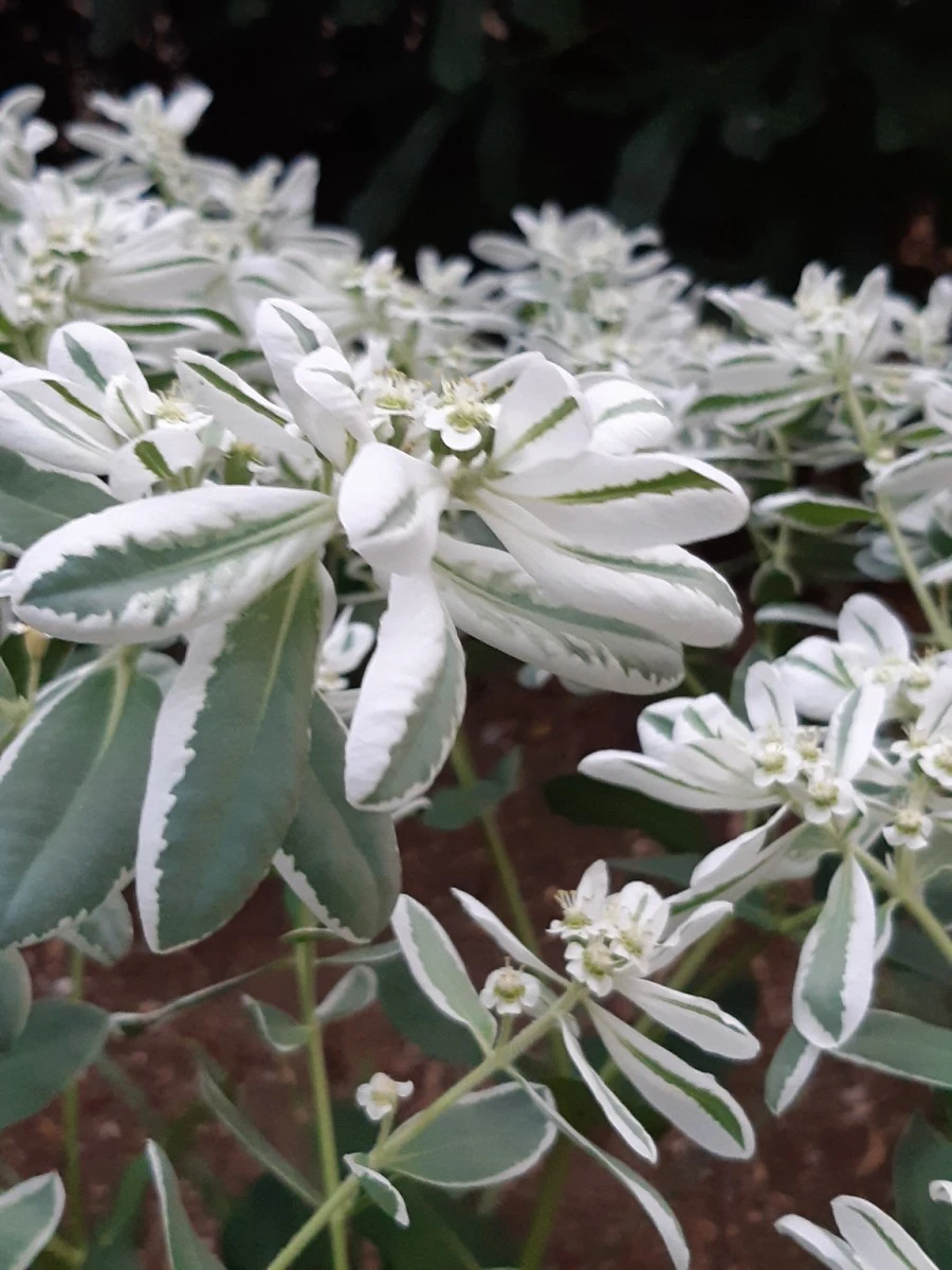 20210818%EF%BC%BF191404.jpg?type=w1