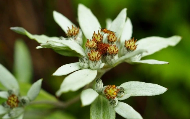 웹 캡처_16-2-2023_16912_blog.naver.com.jpeg