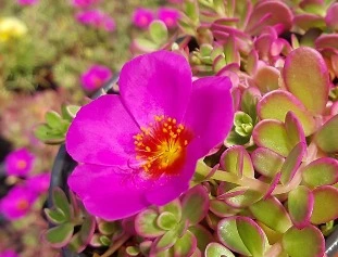 %EC%9B%B9_%EC%BA%A1%EC%B2%98_15-10-2022_145139_www.google.co.kr.jpeg?type=w1