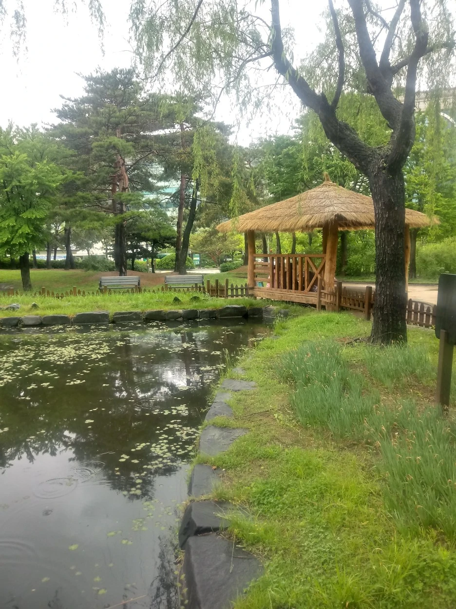 20180506_121907_HDR.jpg?type=w1