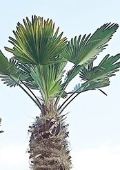 웹 캡처_4-10-2022_25351_www.nhtimes.co.kr.jpeg