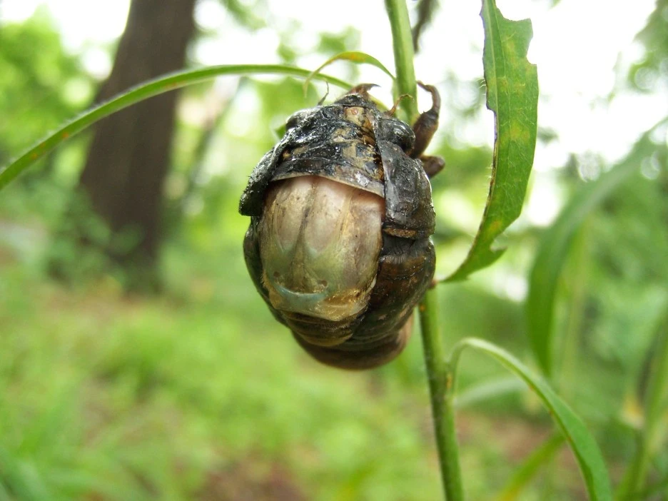 %EB%A7%A4%EB%AF%B8%ED%83%88%EB%B0%949.jpg?type=w1