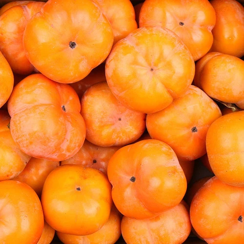 %EB%8B%A4%EC%9A%B4%EB%A1%9C%EB%93%9C_(1).jpg?type=w1