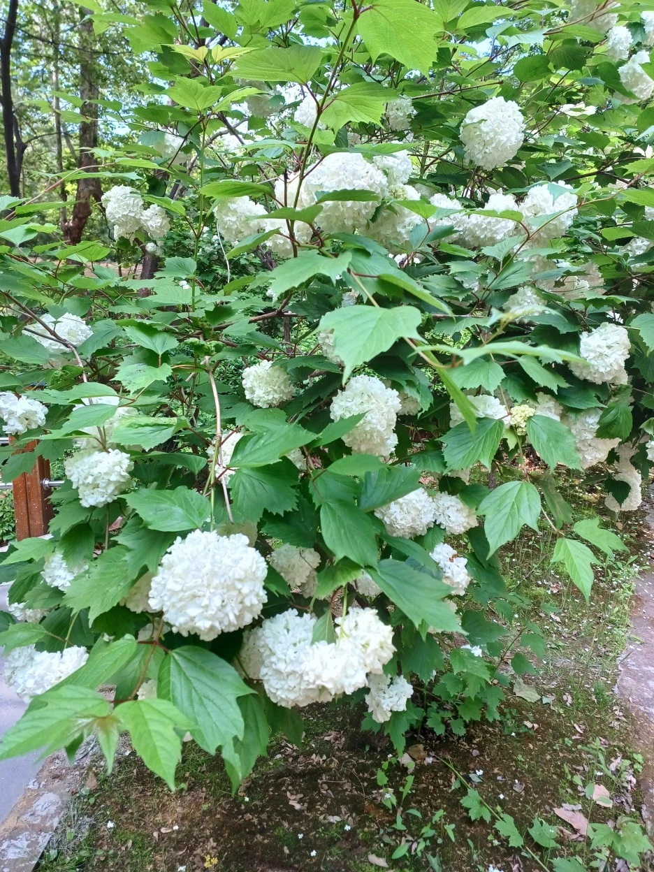 20230514_103031.jpg?type=w1