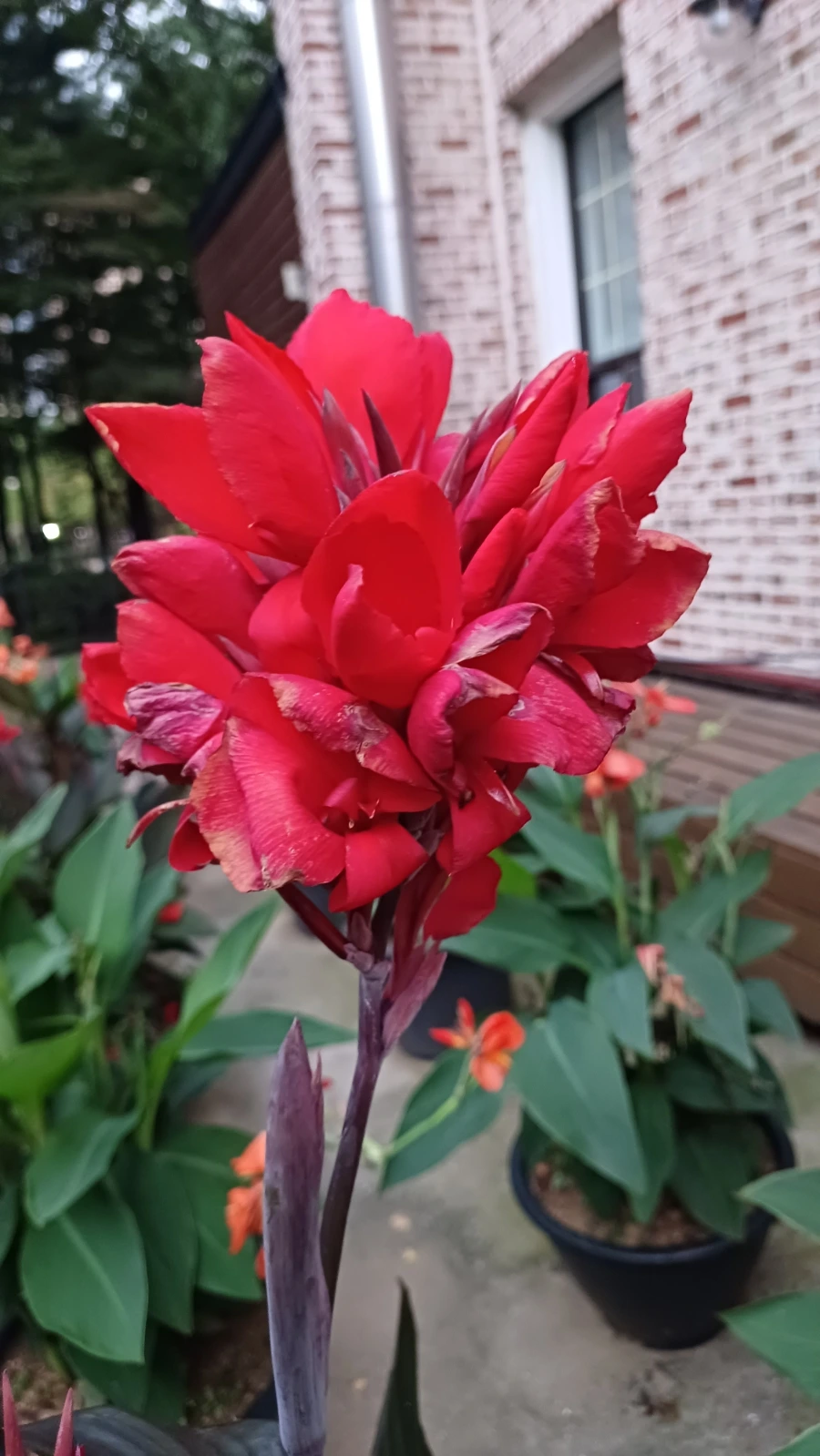 20220817%EF%BC%BF192443.jpg?type=w1