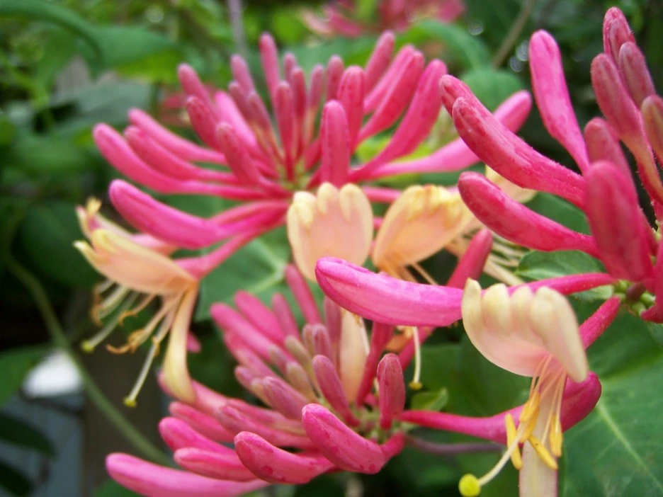 %EC%9D%B8%EB%8F%99%EC%B4%886.jpg?type=w1